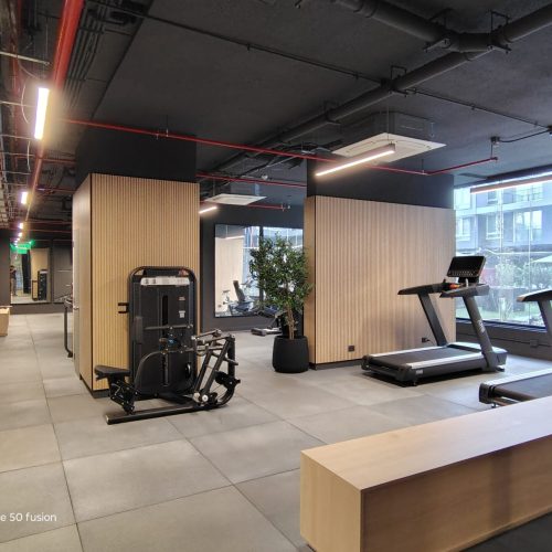 galeria13